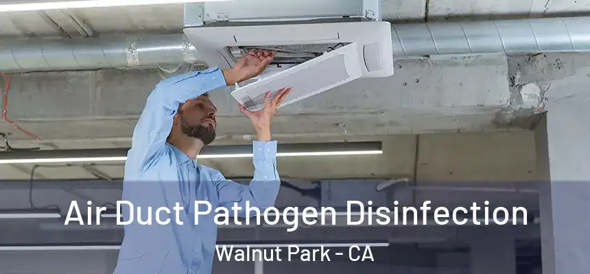  Air Duct Pathogen Disinfection Walnut Park - CA