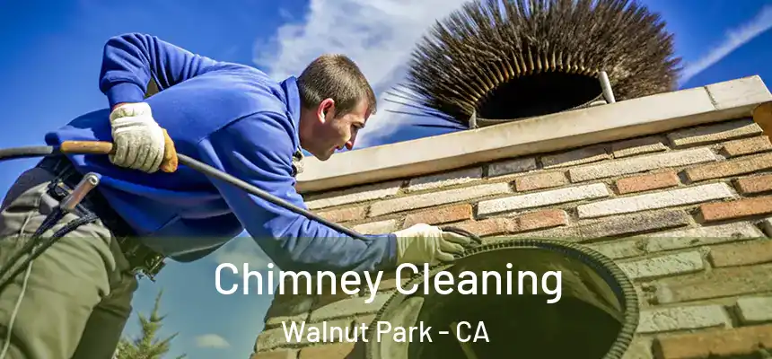  Chimney Cleaning Walnut Park - CA