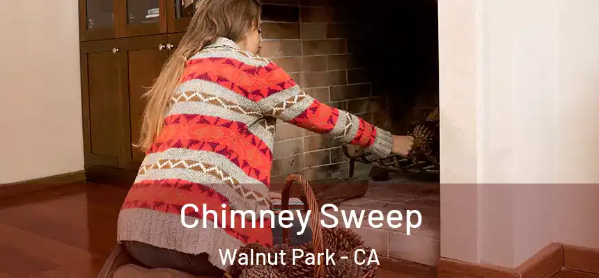  Chimney Sweep Walnut Park - CA