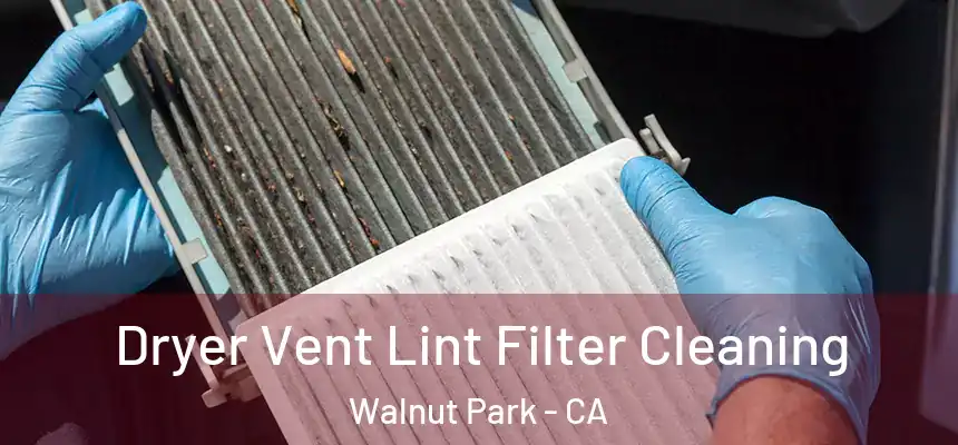  Dryer Vent Lint Filter Cleaning Walnut Park - CA