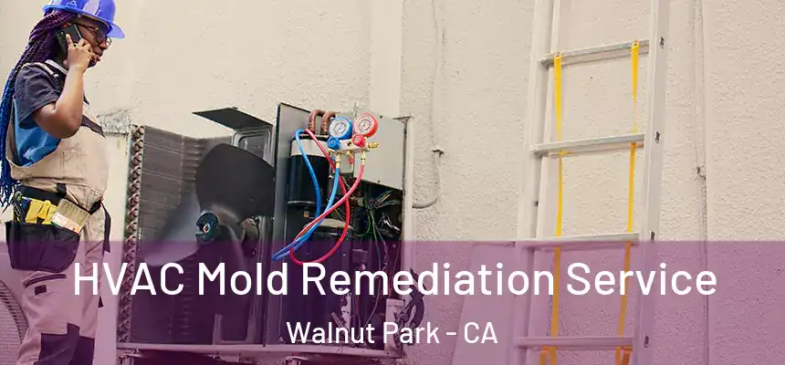  HVAC Mold Remediation Service Walnut Park - CA
