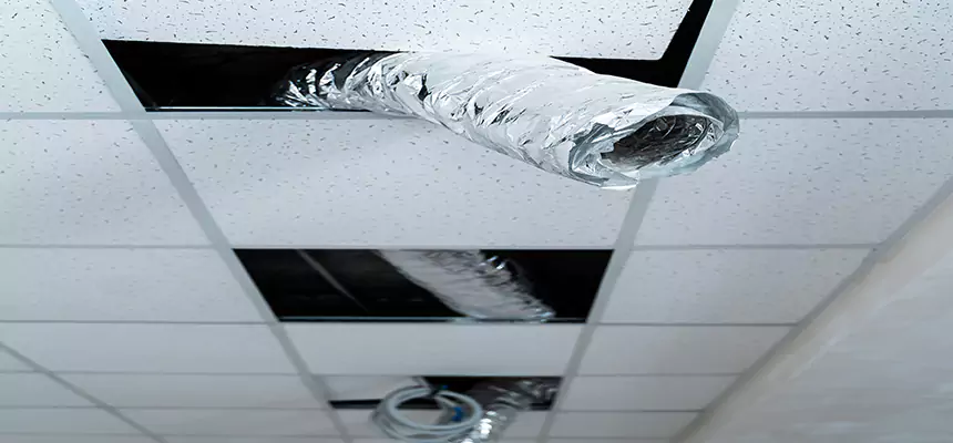 Affordable HVAC Sanitizing After Pest Removal in Walnut Park