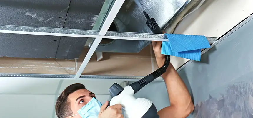 Our Air Duct Rodent Removal Services in Walnut Park, CA