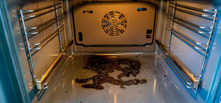 Our Dryer Vent Mold Cleaning Services in Walnut Park, CA