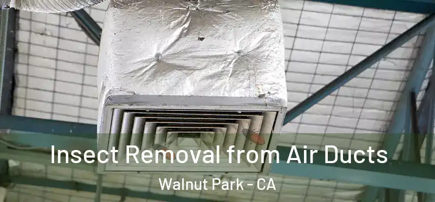  Insect Removal from Air Ducts Walnut Park - CA