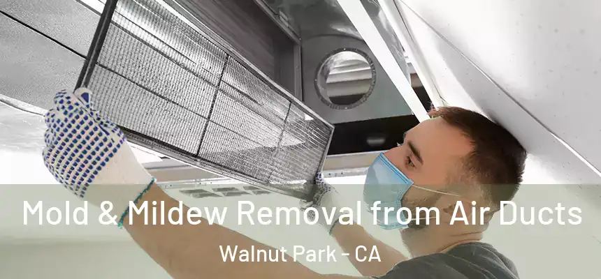  Mold & Mildew Removal from Air Ducts Walnut Park - CA