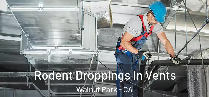  Rodent Droppings In Vents Walnut Park - CA