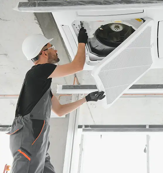 About Air Duct Rodent Removal in Walnut Park, CA