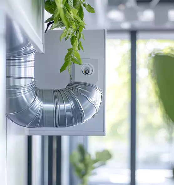 Professional Eco-Safe Dryer Vent Cleaning in Walnut Park, CA