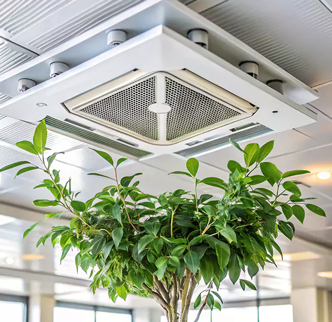 Why Homeowners & Businesses Trust Us in Walnut Park, CA?