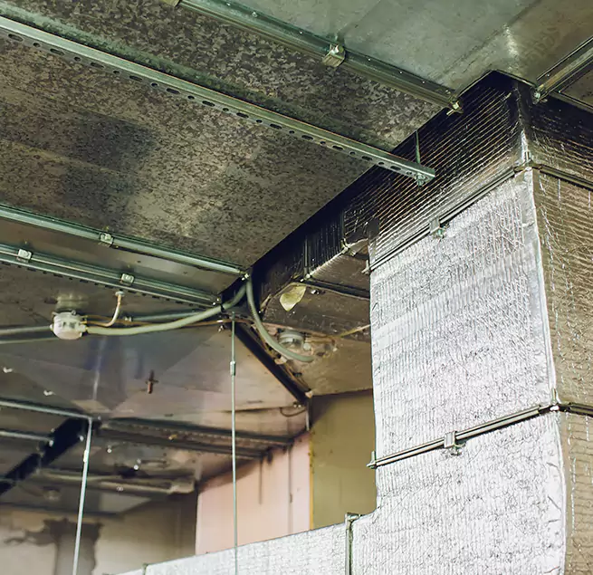 Why Homeowners & Businesses Trust Us in Walnut Park, CA?